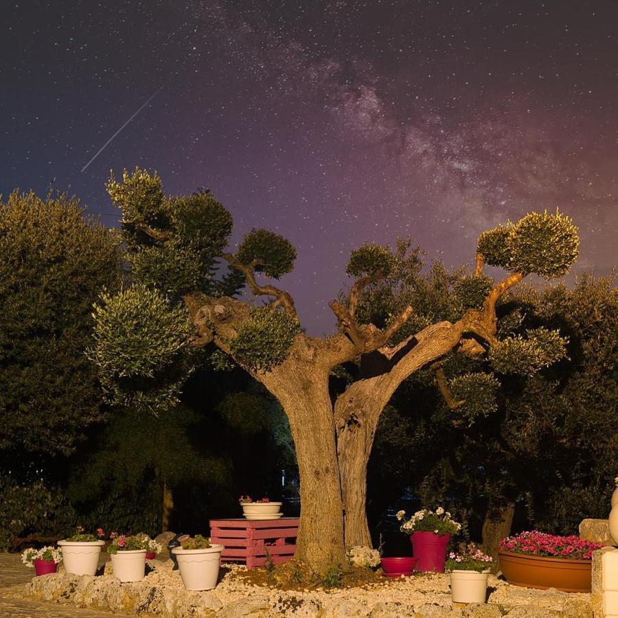 Villa Dei Fiori ロコロトンド エクステリア 写真
